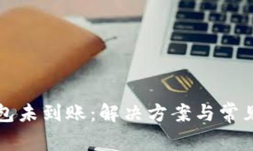 比特派钱包未到账：解决方案与常见问题解析