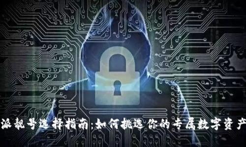 比特派靓号选择指南：如何挑选你的专属数字资产地址