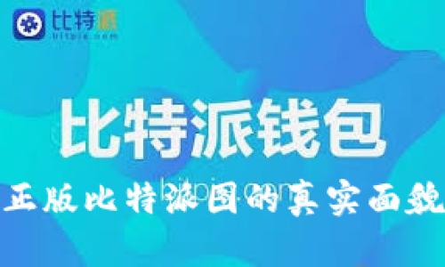 : 揭秘正版比特派图的真实面貌与价值