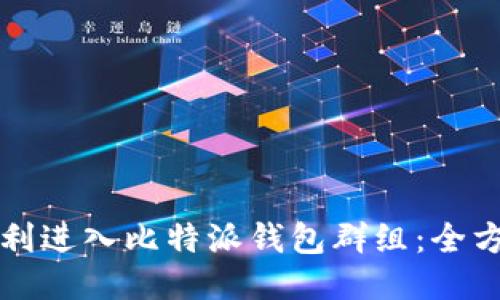 如何顺利进入比特派钱包群组：全方位指南